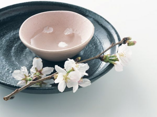 街コンレポート＿日本酒に桜の花びらが浮いています