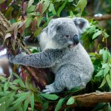 自然体でわいわい楽しめる動物園コンを徹底調査！