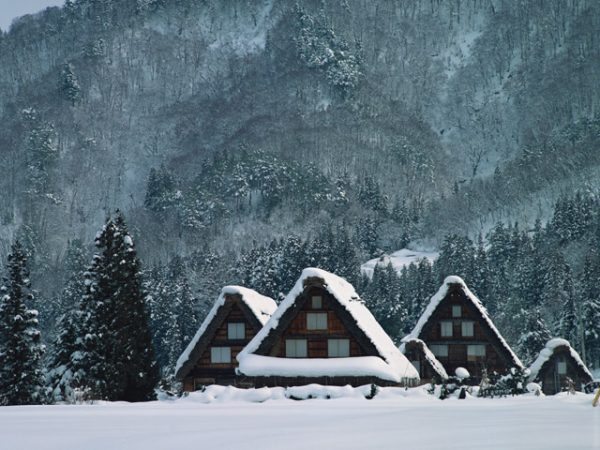 街コンレポート＿合掌造りの屋根に雪が積もっている