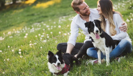 【ワンちゃん愛は譲れない！】犬好きとの出会いはどこで見つけるのがイイの？